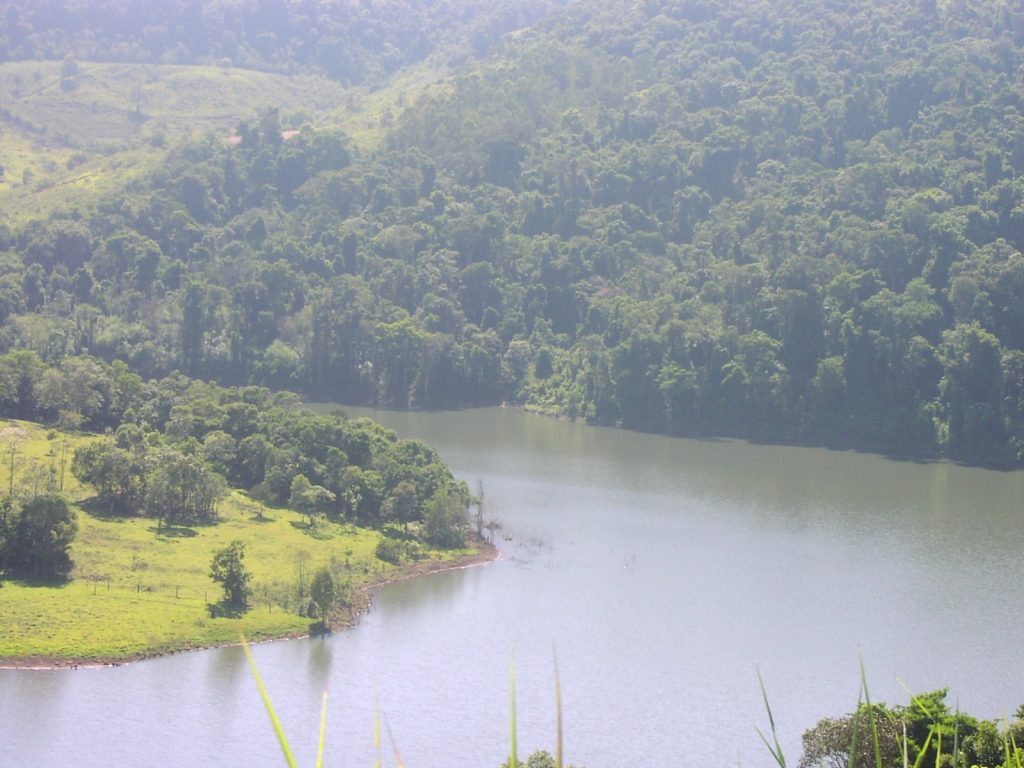 Muito verde nos lados do rio-lago